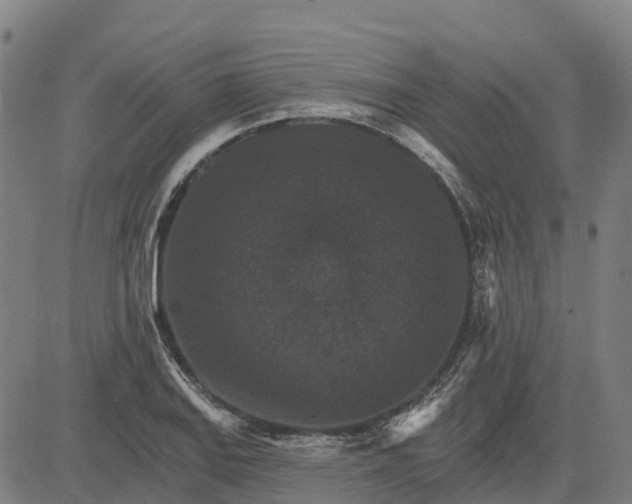 X0000084541127200703091647