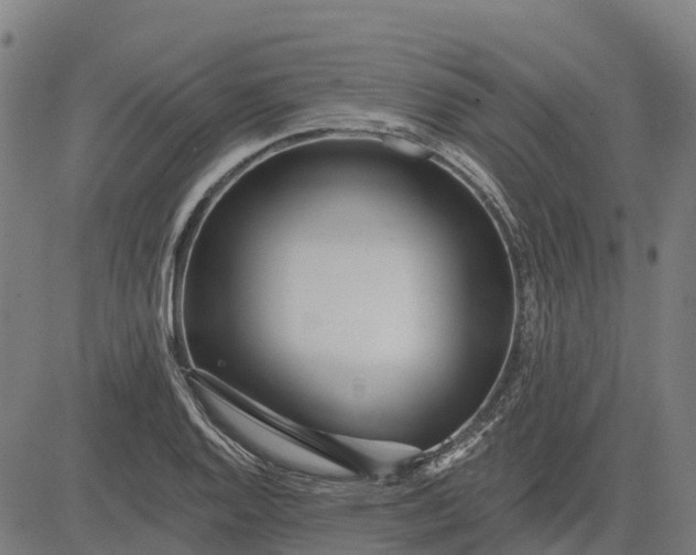 X0000084541128200703091647