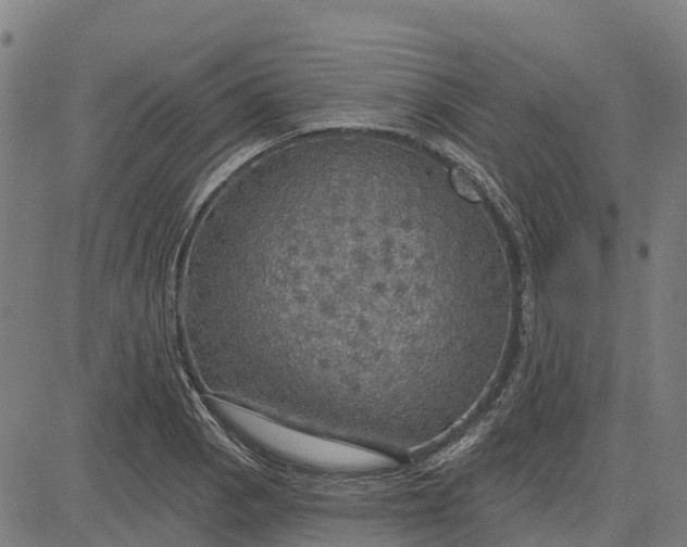 X0000084541129200703091647