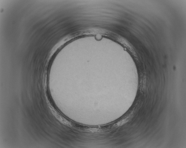 X0000084541130200703091647