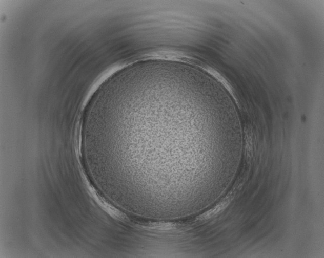 X0000084541131200703091647