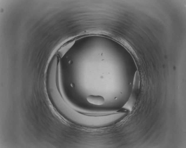 X0000084541132200703091647