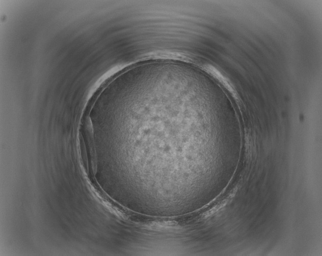 X0000084541133200703091647