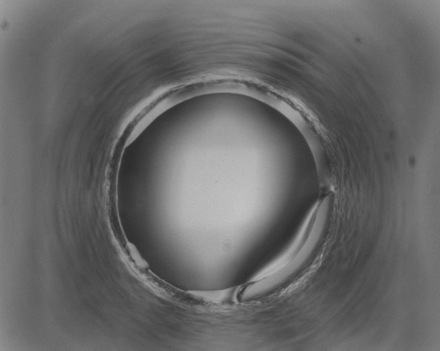 X0000084541134200703091647