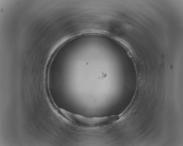 X0000084541135200703091647