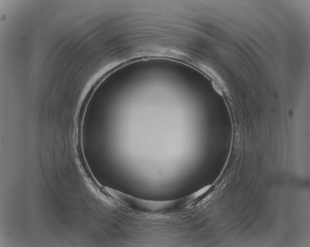 X0000084541136200703091647