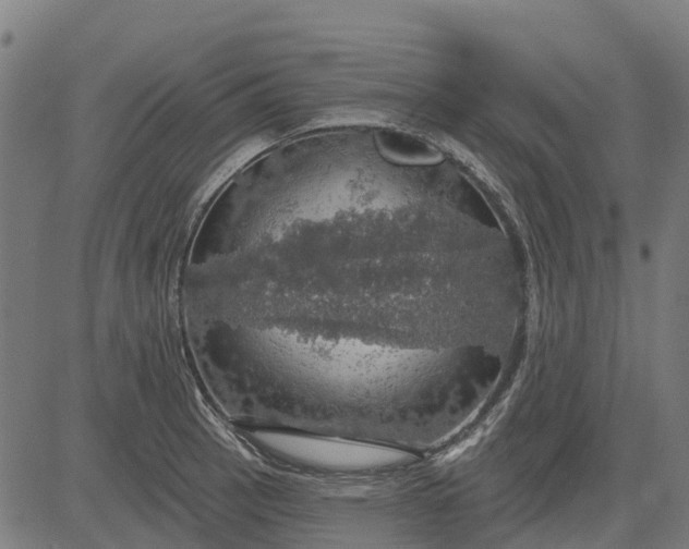 X0000084541137200703091647