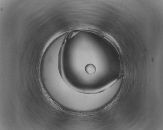 X0000084541138200703091647