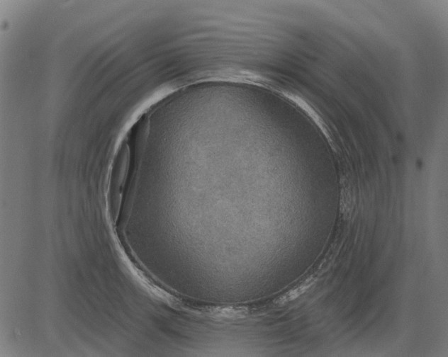 X0000084541139200703091647