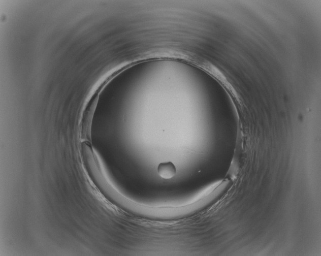 X0000084541140200703091647