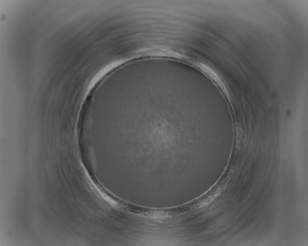 X0000084541141200703091647