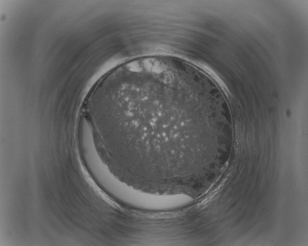 X0000084541142200703091647