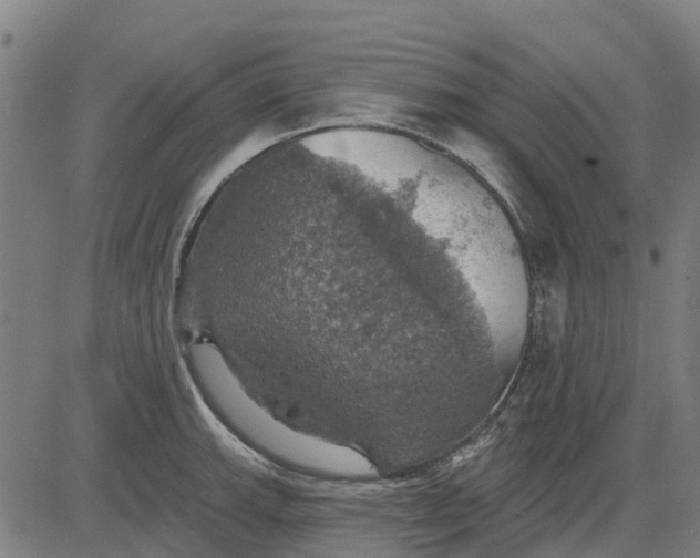 X0000084541143200703091647