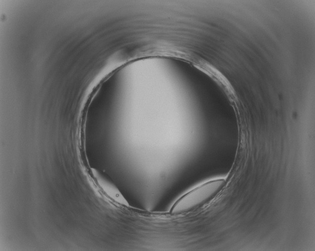 X0000084541144200703091647