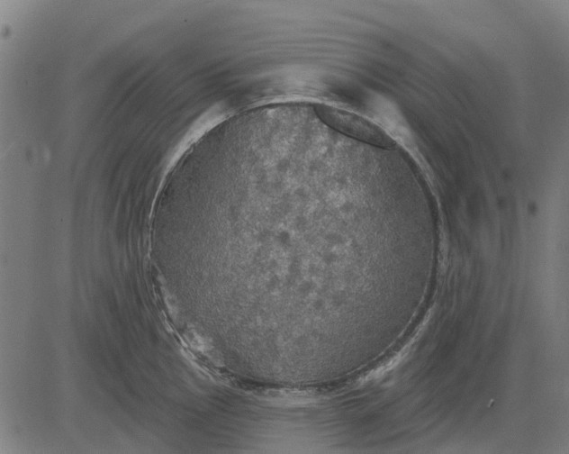 X0000084541145200703091647