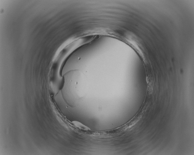 X0000084541146200703091647