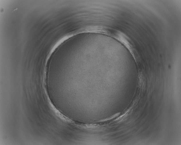 X0000084541147200703091647