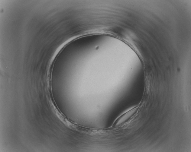 X0000084541148200703091647