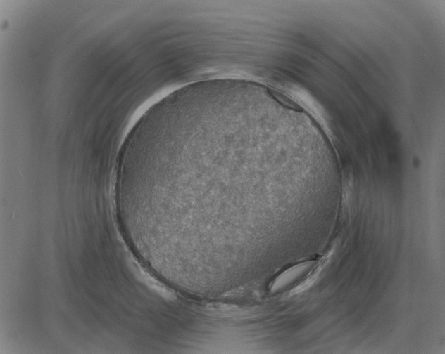 X0000084541149200703091647