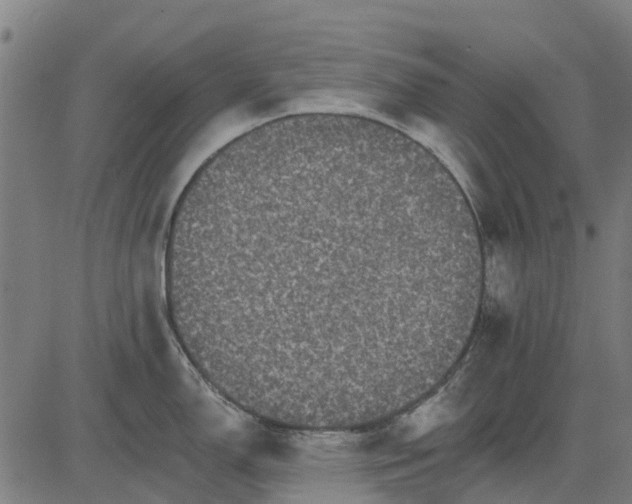 X0000084541150200703091647