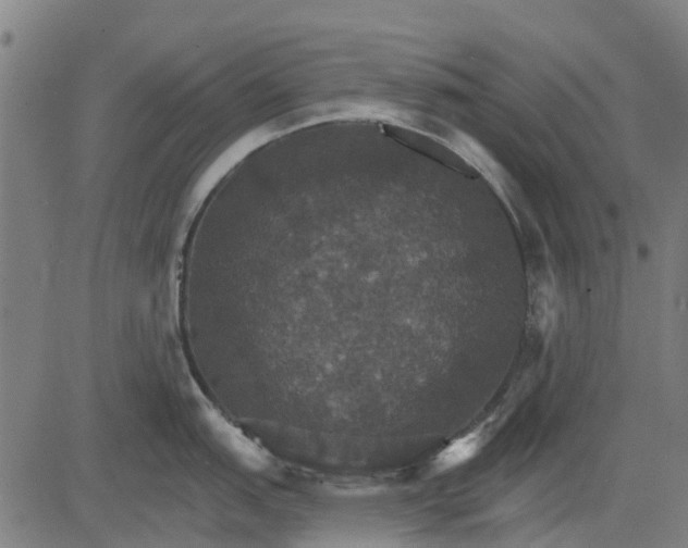 X0000084541151200703091647