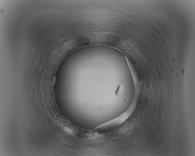 X0000084541153200703091646