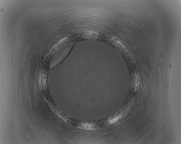 X0000084541154200703091646