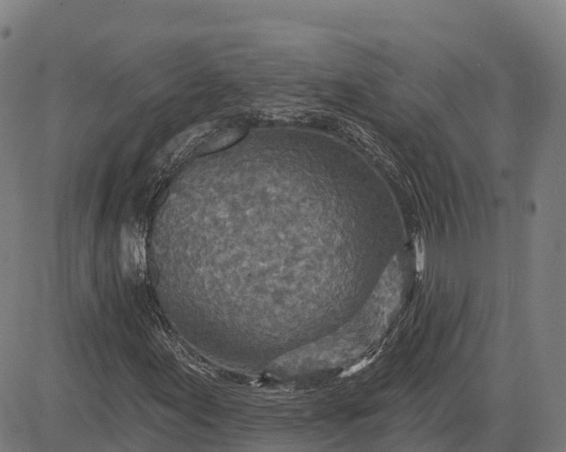 X0000084541155200703091646