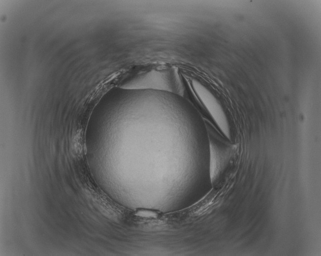 X0000084541156200703091646