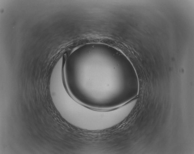 X0000084541157200703091646