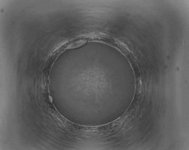 X0000084541158200703091646