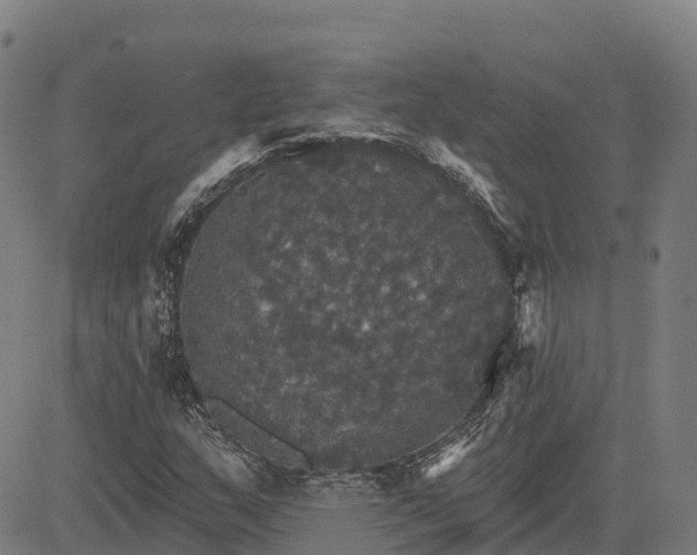 X0000084541159200703091646