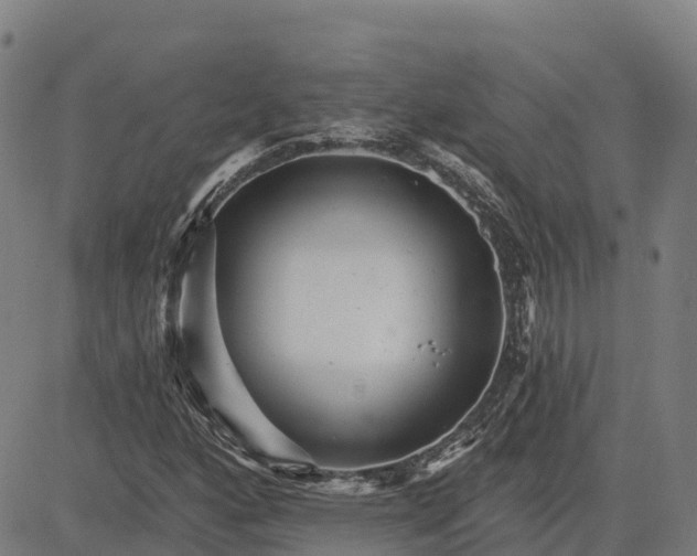 X0000084541160200703091646