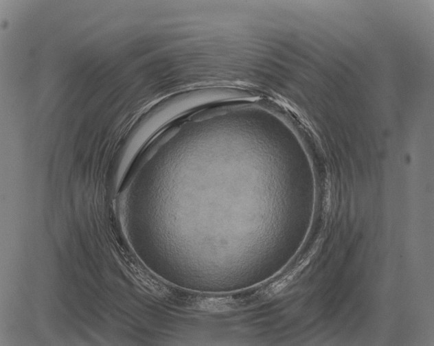 X0000084541161200703091646