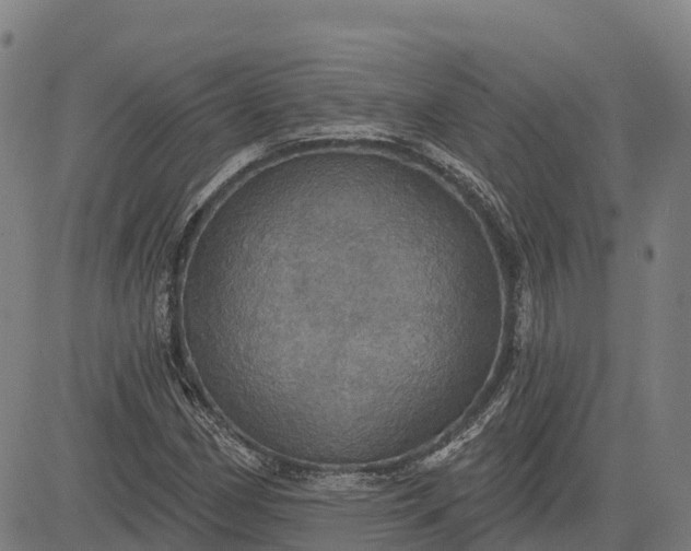 X0000084541162200703091646