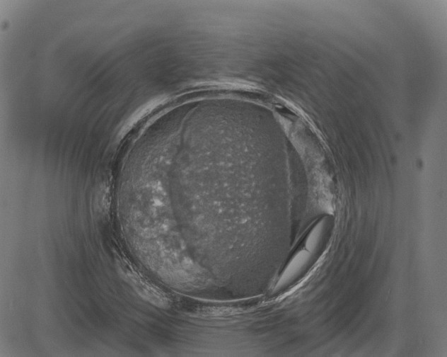 X0000084541163200703091646