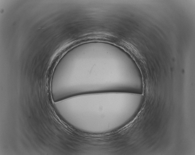 X0000084541164200703091646