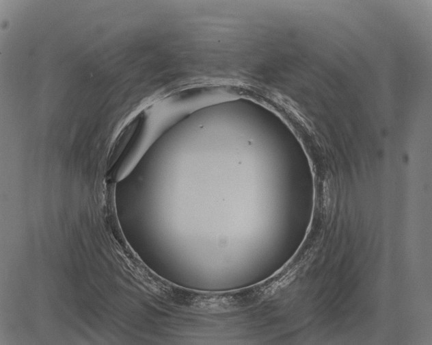 X0000084541165200703091646