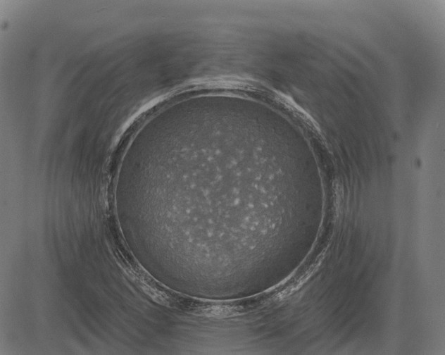 X0000084541166200703091646