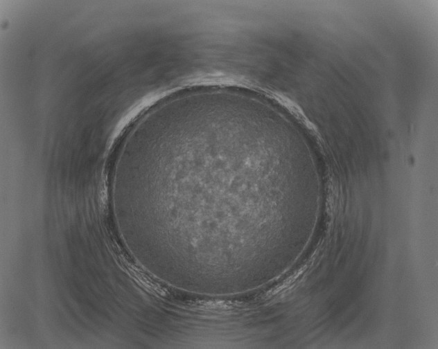 X0000084541167200703091646