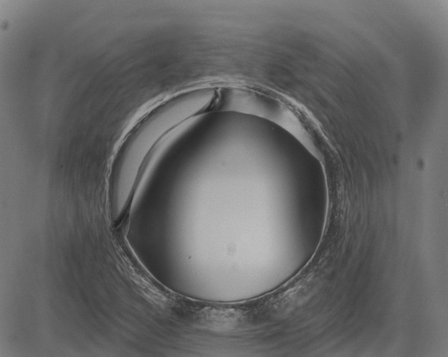 X0000084541168200703091646