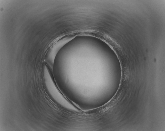 X0000084541169200703091646