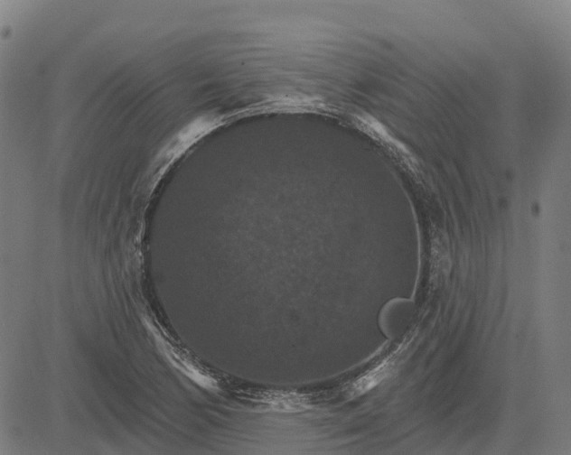 X0000084541170200703091646