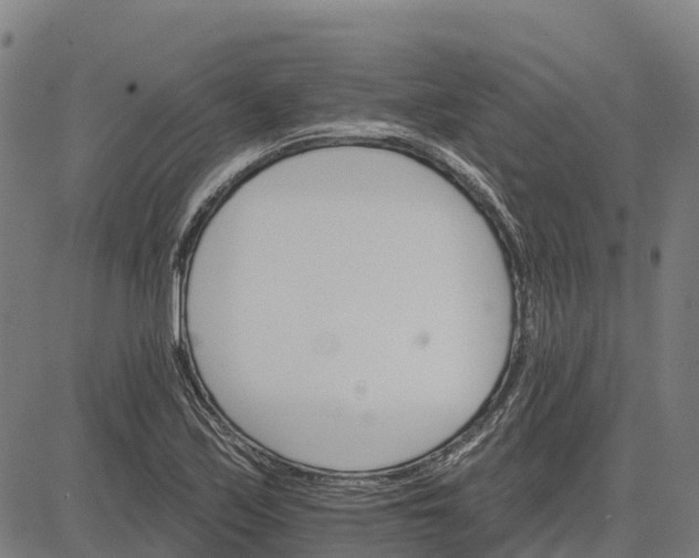 X0000084541171200703091646