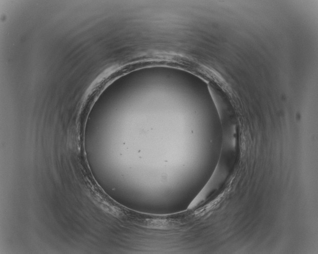 X0000084541172200703091646