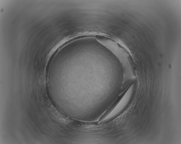 X0000084541173200703091646