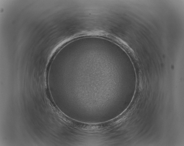 X0000084541174200703091646