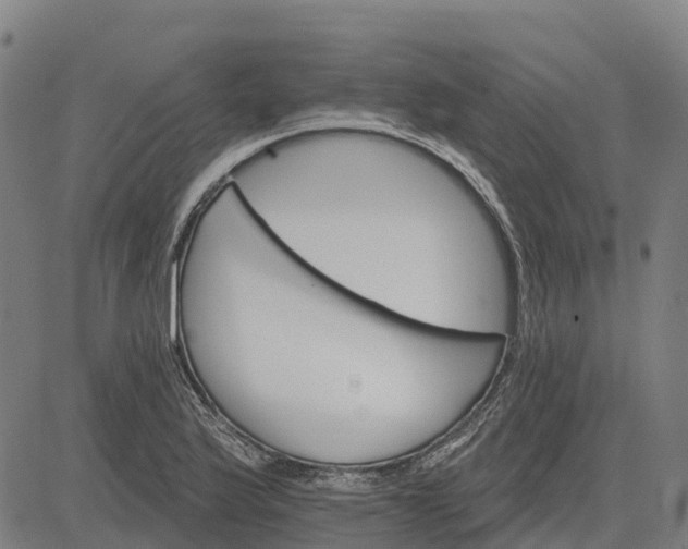 X0000084541175200703091646