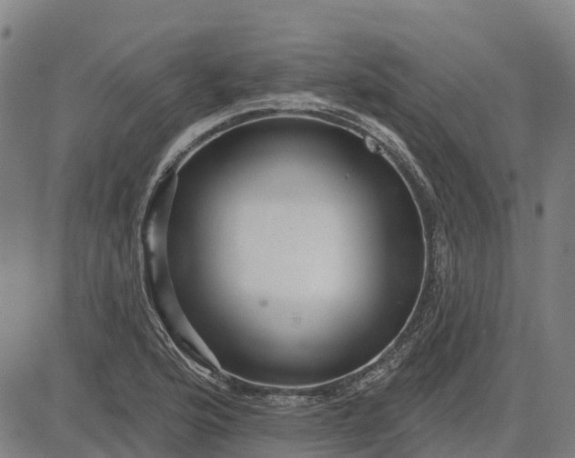 X0000084541176200703091646