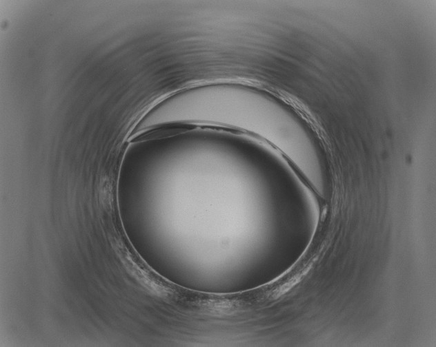 X0000084541177200703091646